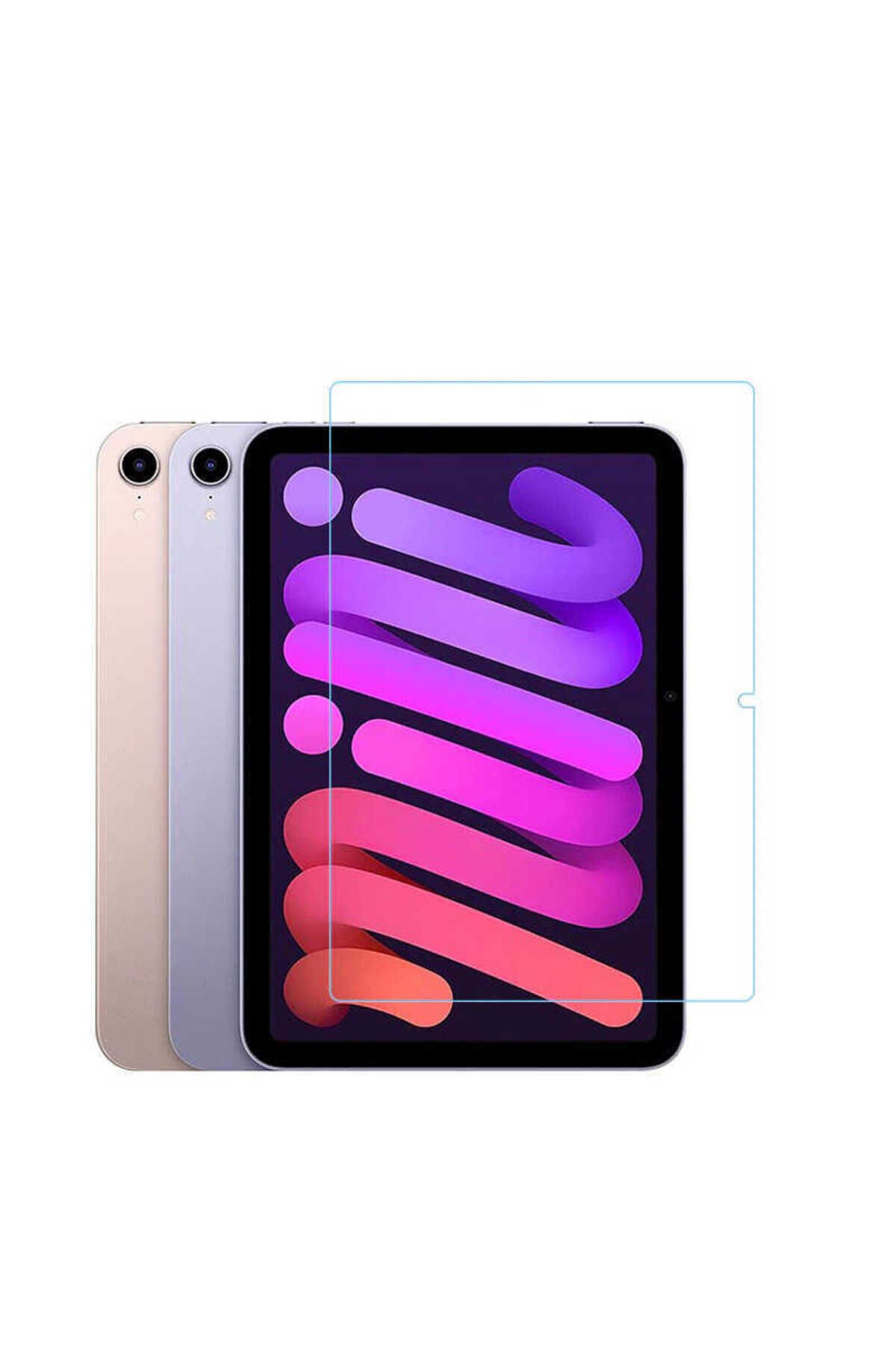 iPad 10.9 2022 (10.Nesil) Uyumlu BSAY Tablet Temperli Cam Ekran Koruyucu-Renksiz Renksiz