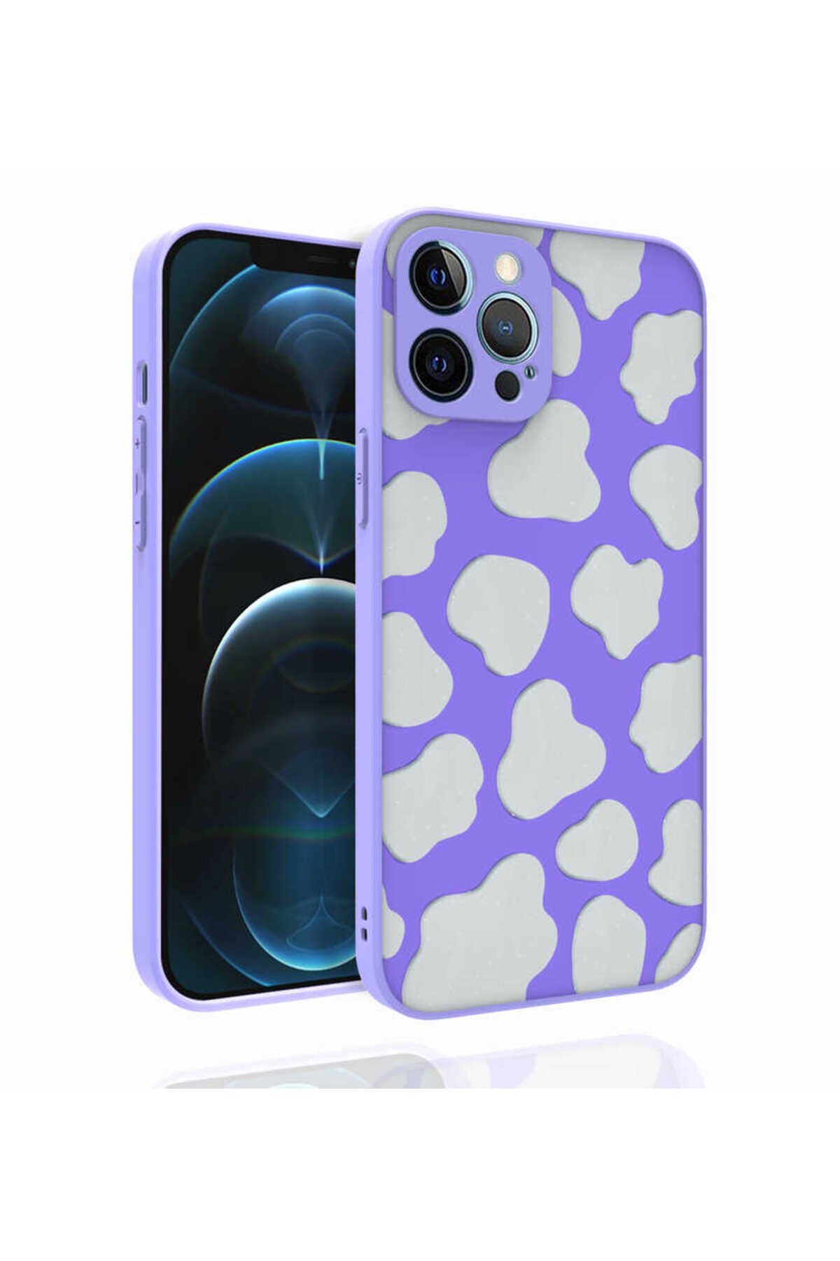 iPhone 12 Pro Max Uyumlu Desenli Kamera Korumalı Parlak EFR Nora Kılıf-NO5 No6