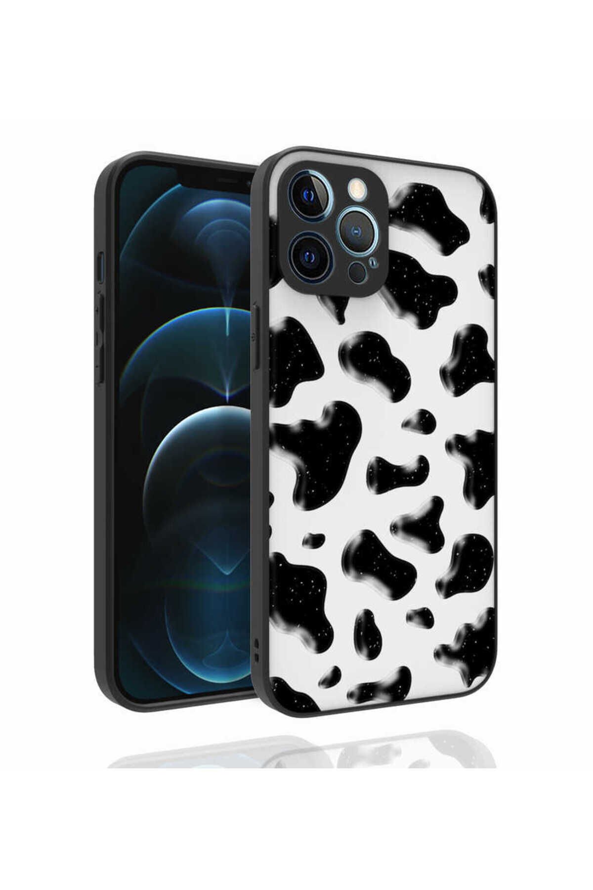 iPhone 12 Pro Max Uyumlu Desenli Kamera Korumalı Parlak EFR Nora Kılıf-NO5 No2