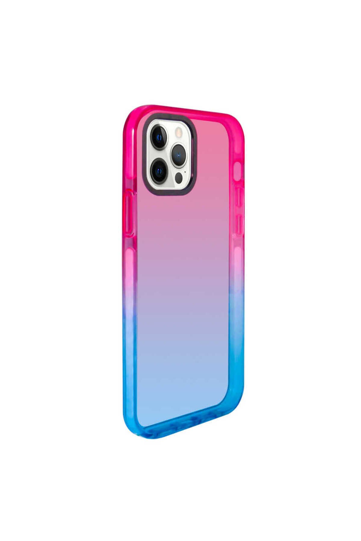 iPhone 12 Pro Uyumlu NXAR Renkli Punto Kılıf-Pembe-Mavi Pembe-Mavi