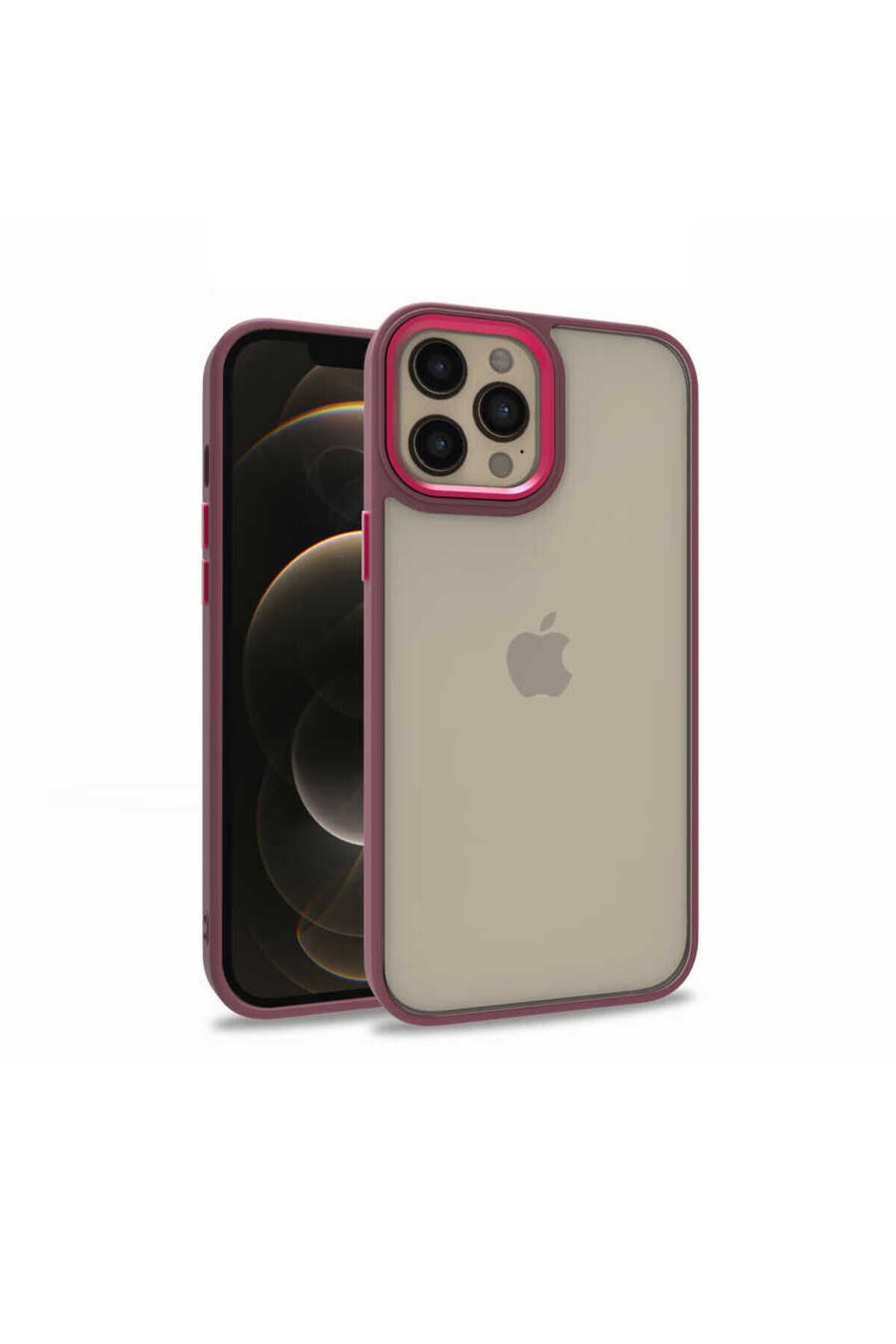 iPhone 12 Pro Max Uyumlu BSAY Flora Kılıf-Kırmızı Kırmızı