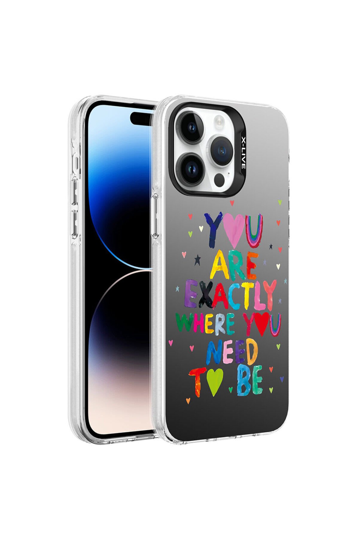 iPhone 14 Pro Uyumlu Desenli BSAY Silver Sert Kılıf-You You