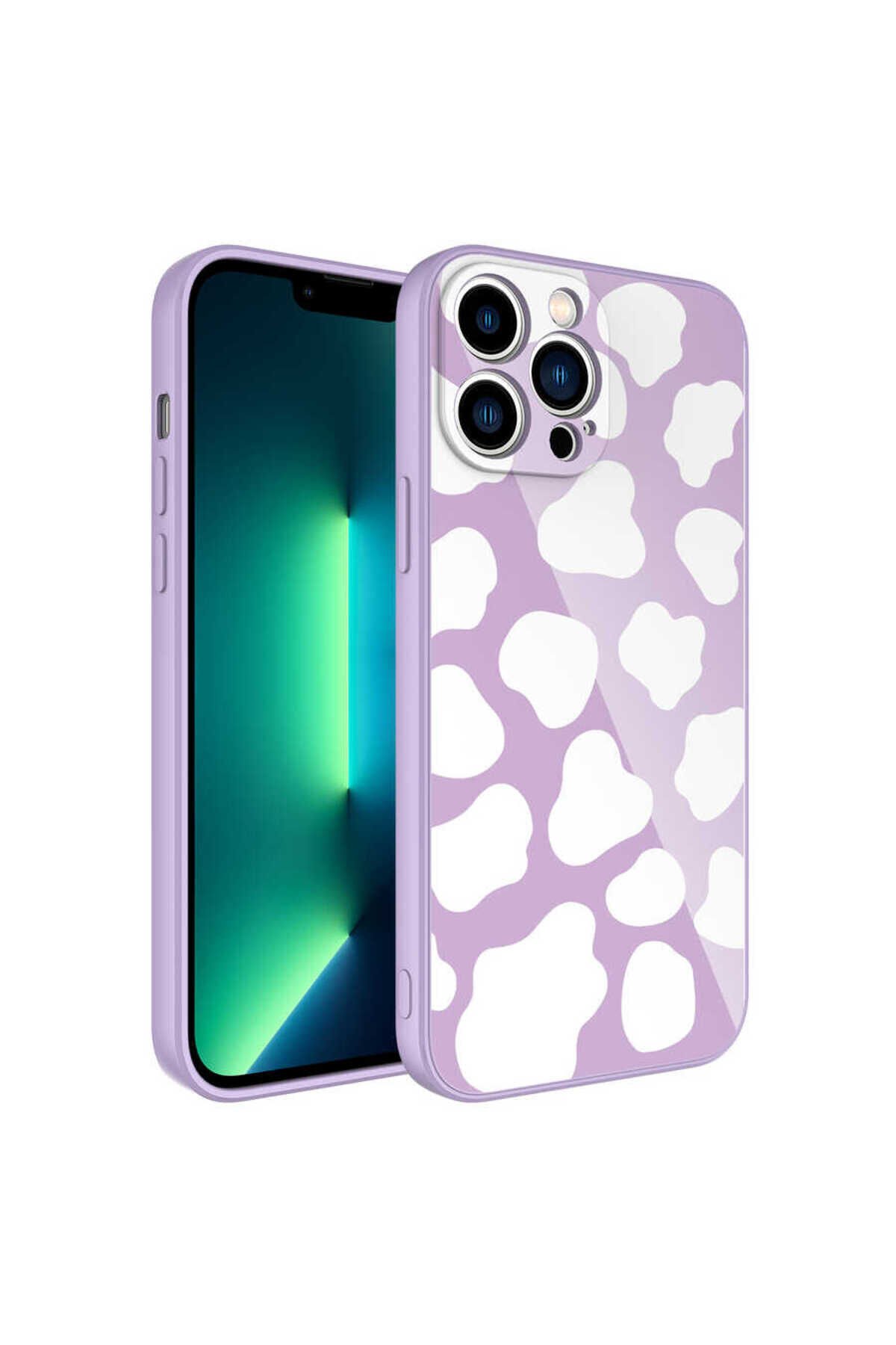 iPhone 13 Pro Max Uyumlu Kamera Korumalı Desenli Sert Silikon BSAY Epoksi Kılıf-NO10 No6