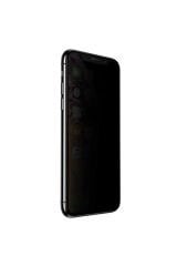 iPhone 12 Pro Uyumlu BSAY Anti-Dust Privacy Temperli Ekran Koruyucu