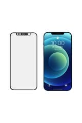 iPhone 11 Pro Max Uyumlu BSAY Secret Temperli Cam Ekran Koruyucu